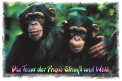 Ab in die Tierarztraxis nach Elz